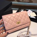 Chanel Calfskin & Gold-Tone Metal S33814 pink HV11539fr81