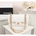 Chanel Classic Handbag Alligator & Gold-Tone Metal A01112 white HV00700uT54