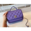 Cheap Chanel small flap bag Calfskin & Gold-Tone Metal A93749 purple HV01521sZ66