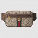 Gucci Ophidia GG belt bag 574796 brown HV09611wv88