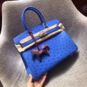 Hermes Real ostrich leather birkin bag BK35 blue HV06515TP23