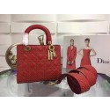 Hot Replica Dior CANNAGE Original Calfskin Leather Tote Bag 3892 red HV01883wR89