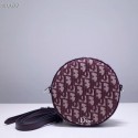Imitation Dior CANVAS Shoulder Bag 83164 purplish HV01519Nj42