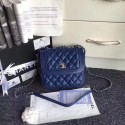 Knockoff Chanel Original Classic Handbag 25698 blue HV05477WW40