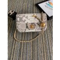 Luxury Replica Chanel Original Small Snake skin flap bag AS1116 light grey HV08499vv50