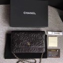 Replica Chanel WOC Mini Shoulder Bag A33814 black silver chain HV02471AP18