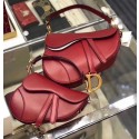 Replica Dior SADDLE BAG IN RED CALFSKIN M0446 red HV01868ls37