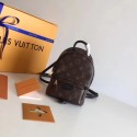 Replica Louis Vuitton Monogram Canvas Palm Springs Backpack Mini M41562 HV02558Yn66
