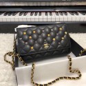 Top Chanel Wallet on Chain Lambskin & Gold-Tone Metal A81618 Black HV07686lE56