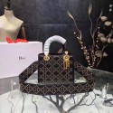 Top Dior CANNAGE Original Calfskin Leather Tote Bag 3891 black HV06555yq38