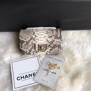 Top Chanel Mini Flap Bag Python & Gold-Tone Metal A69900 grey HV05185eo14