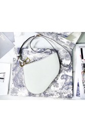 Replica Dior SADDLE CALFSKIN CLUTCH S5642 white HV08649iu55
